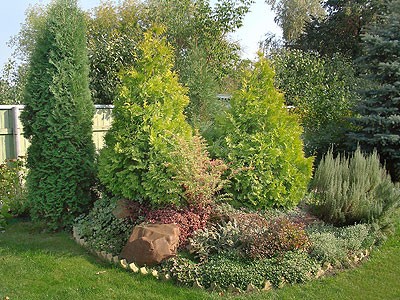 We offer a wide range of services on gardening and accomplishment of territories.