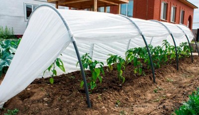 The company AgroFarmPlast is engaged in the production and sale of goods for the garden and the garden.