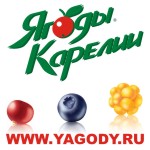 www.yagody.ru | IQF wild berries processing and supplies