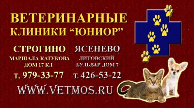   
: .   17 .1
.: 979-33-77 
:    7
.: 426-53-22
www.vetmos.ru