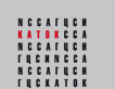 Katokprint.ru - digital printing with pleasure!