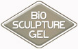  "Bio Sculpture Gel"              "Bio Sculpture Gel"    ,   . 